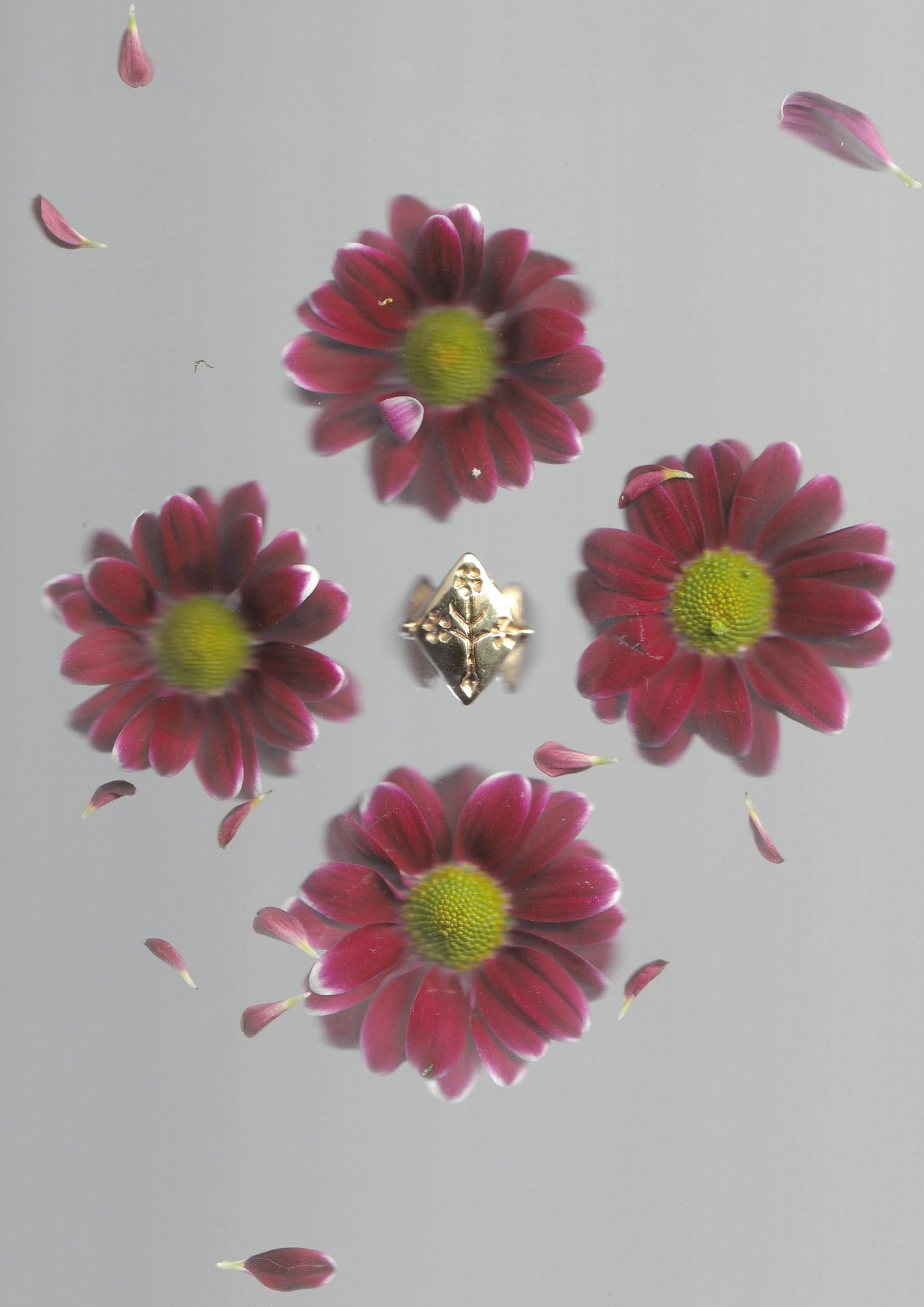 Aelisium Ring