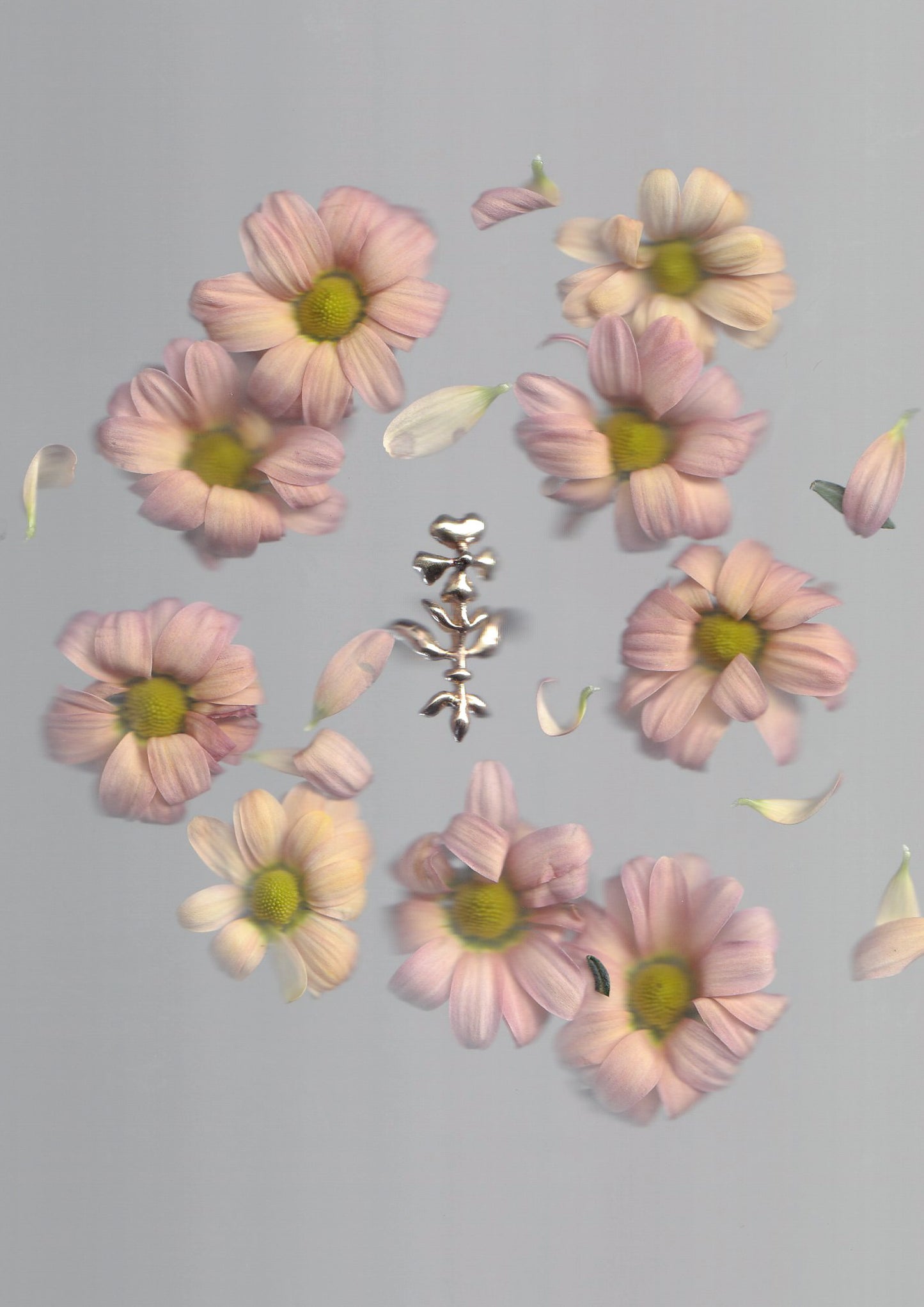 Florilegium Ring