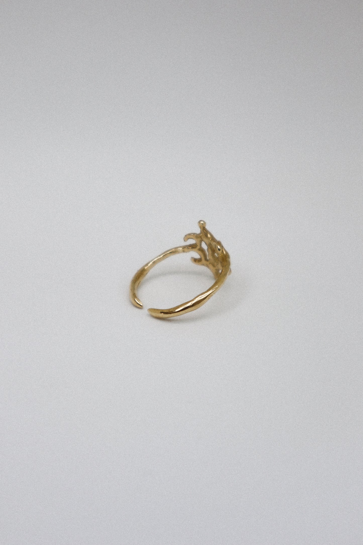 Mysterio Ring