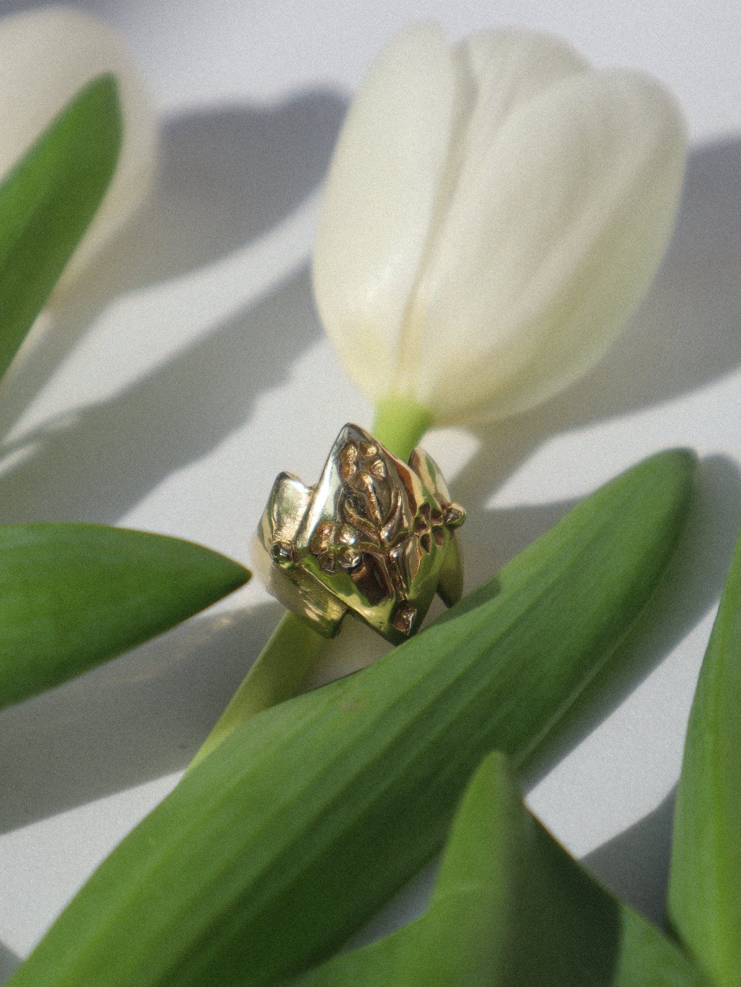 Aelisium Ring