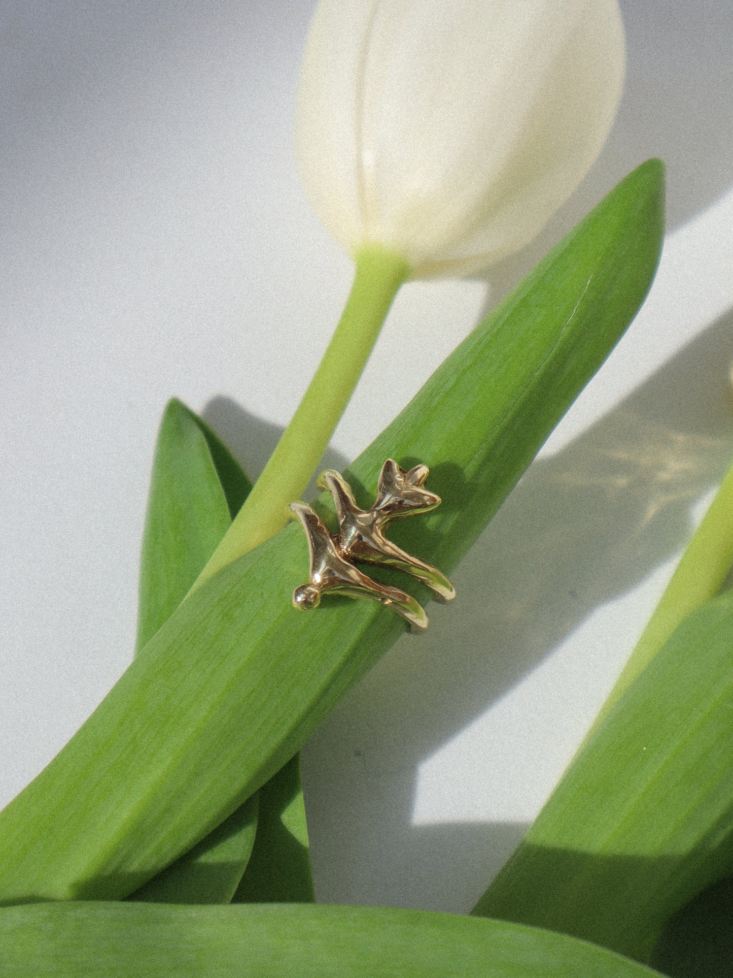 Renasentia Ring