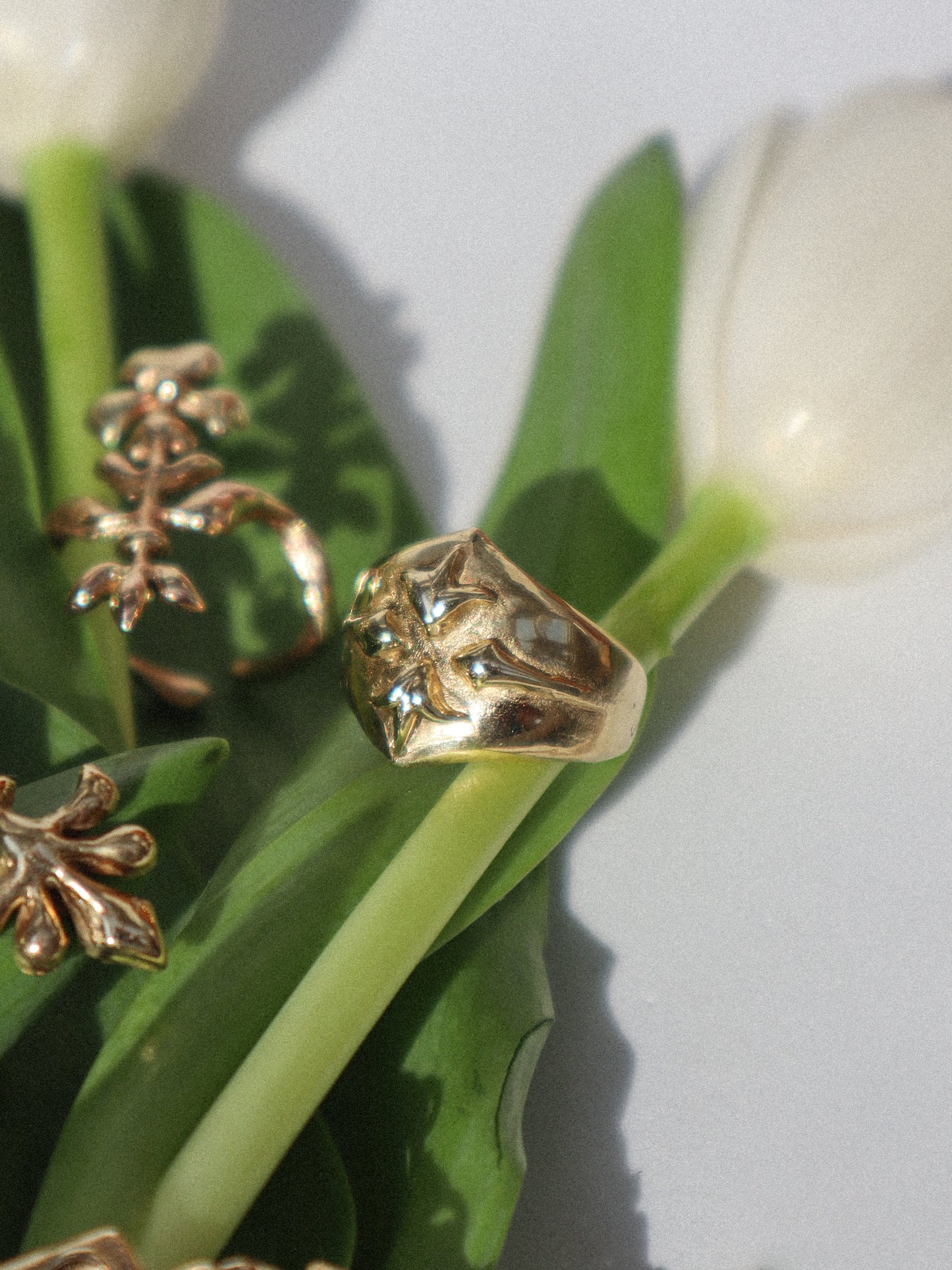 Fulgor Ring