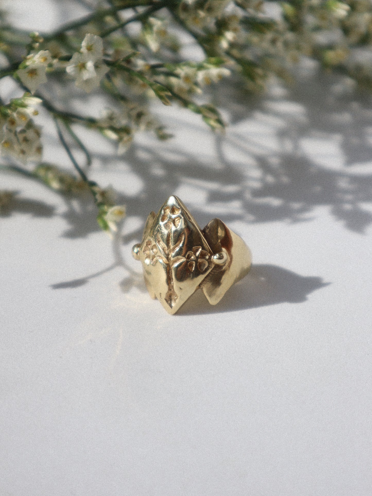 Aelisium Ring