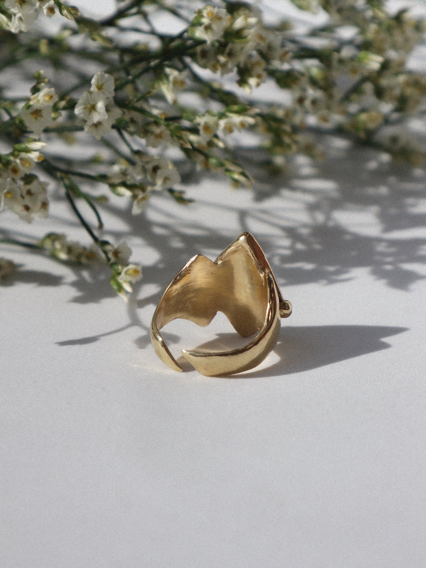 Aelisium Ring