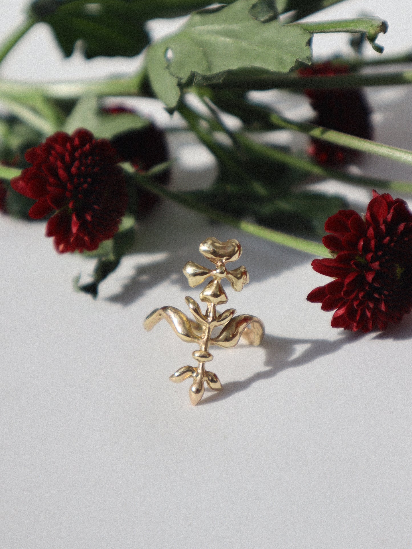 Florilegium Ring