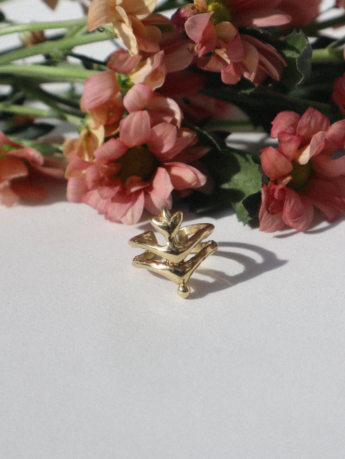 Renasentia Ring