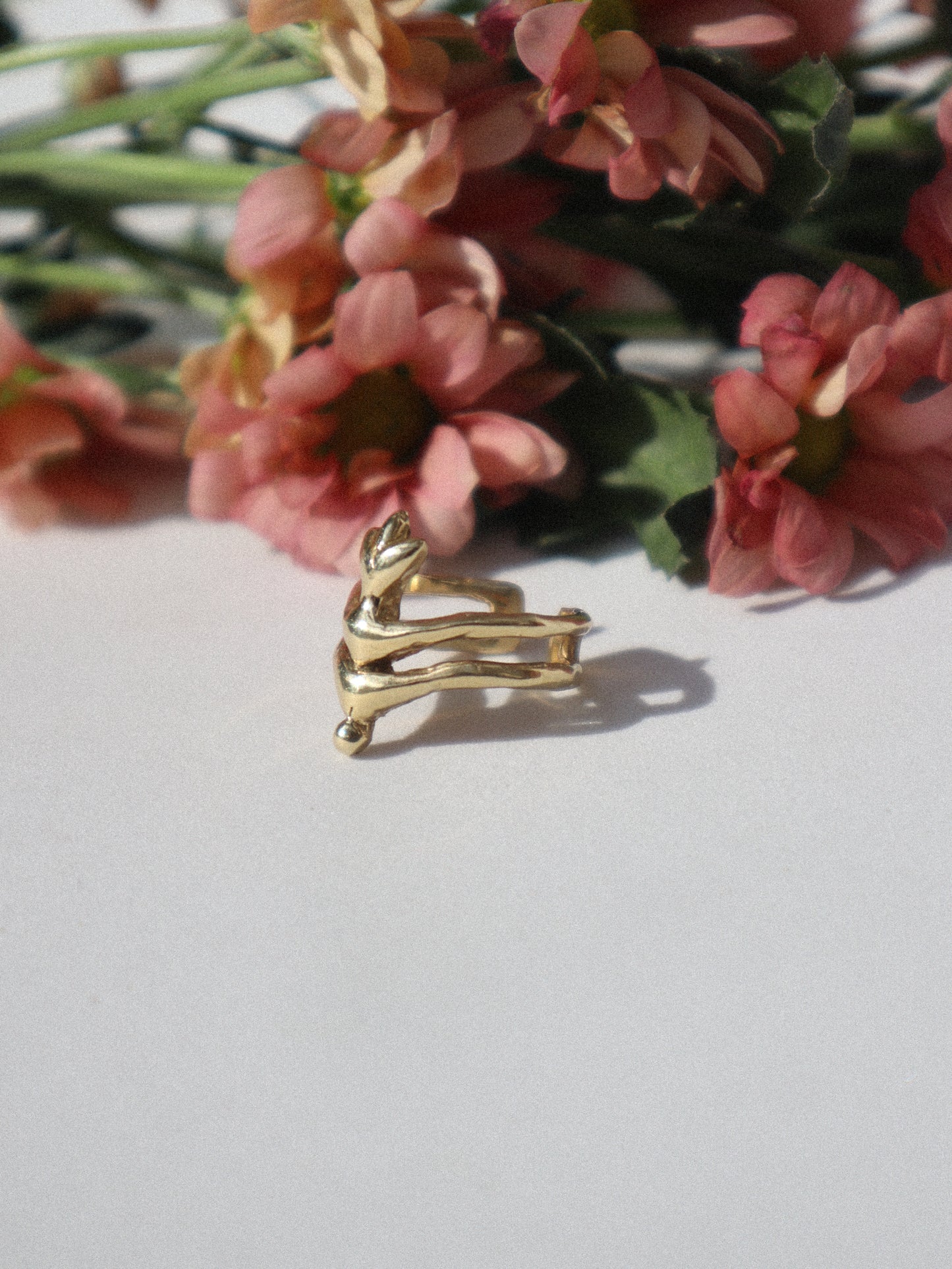 Renasentia Ring