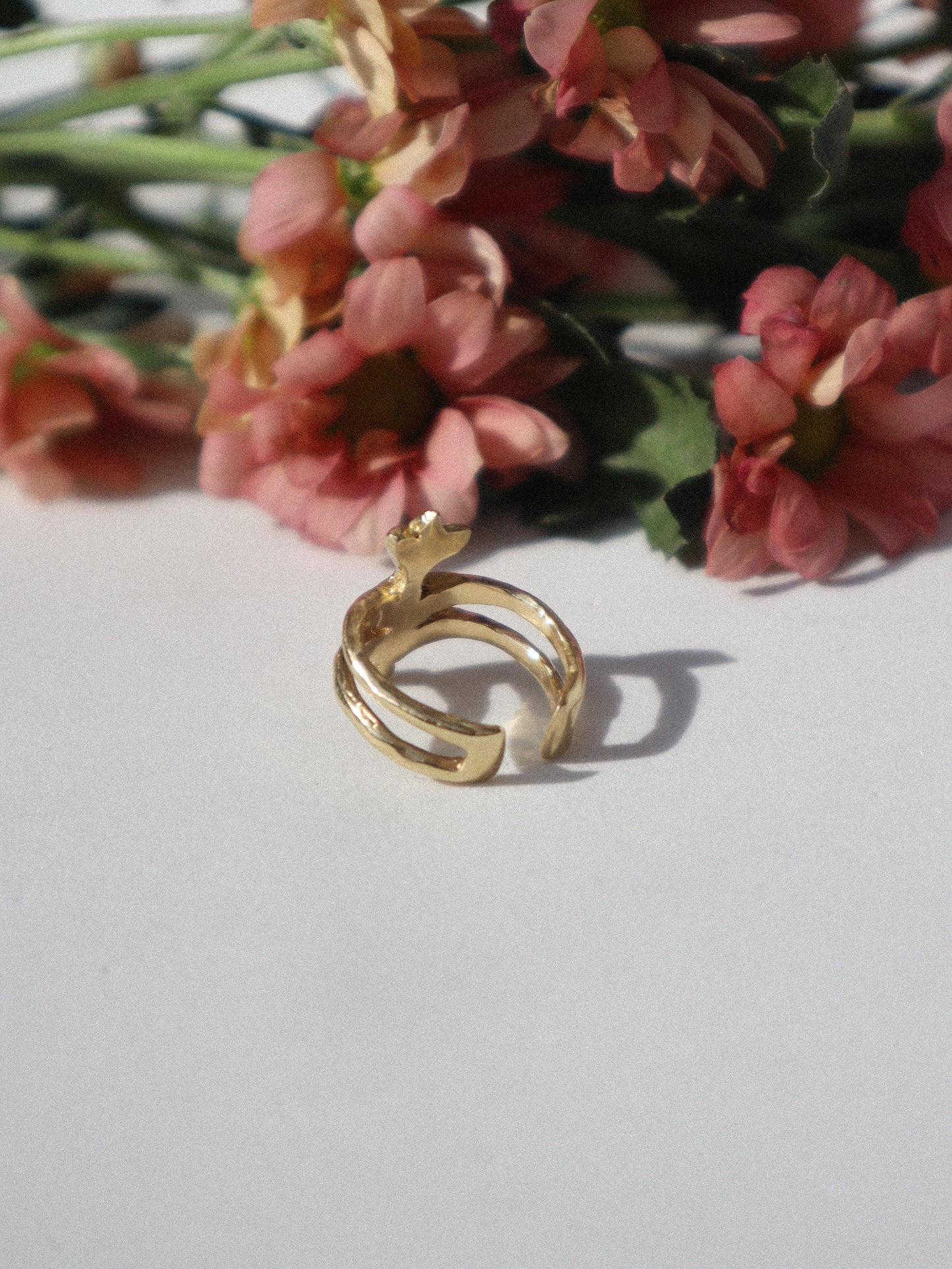 Renasentia Ring