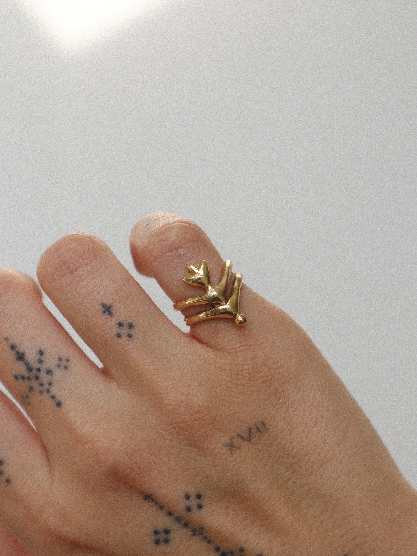 Renasentia Ring