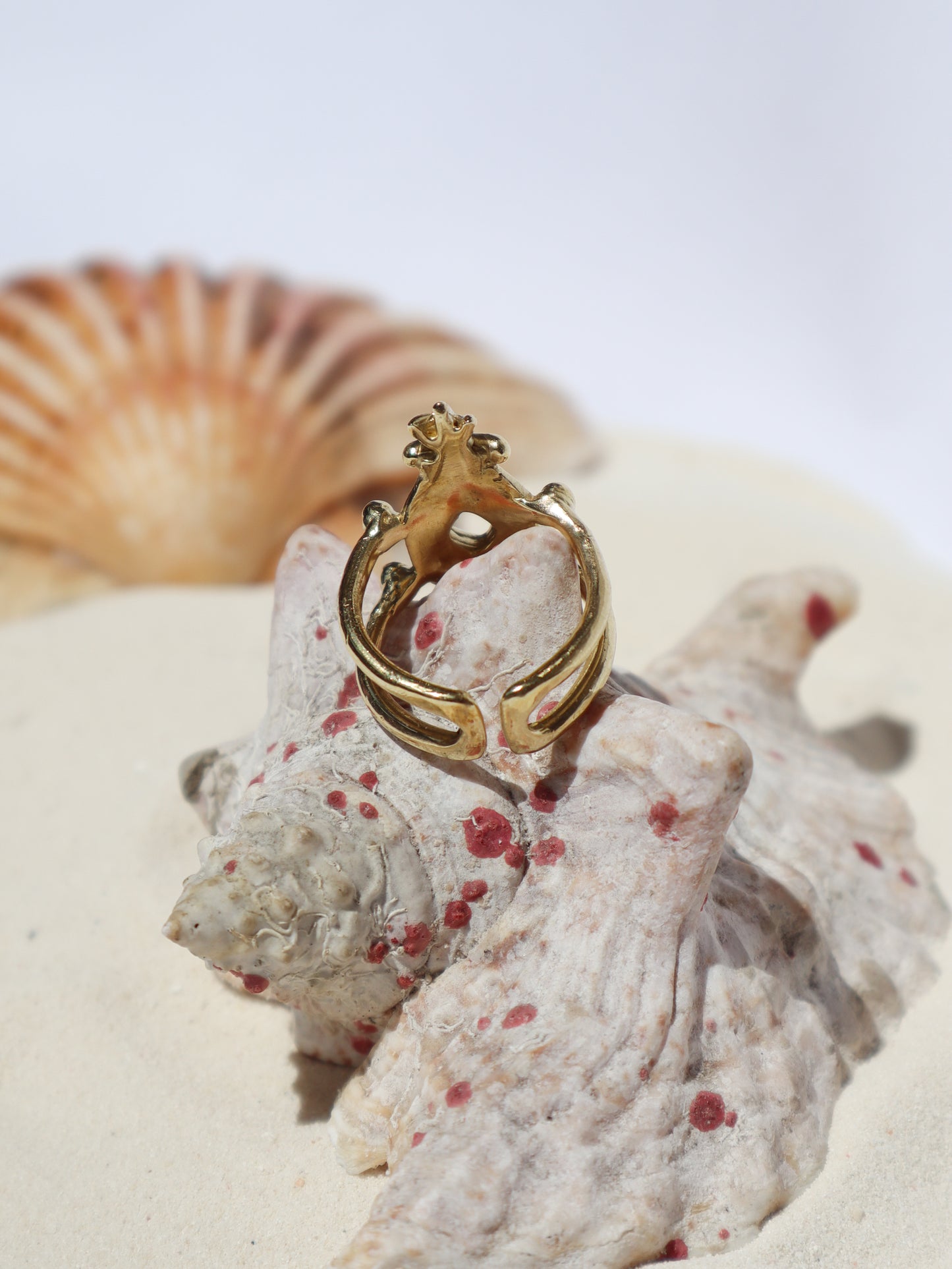 Comosus Ring