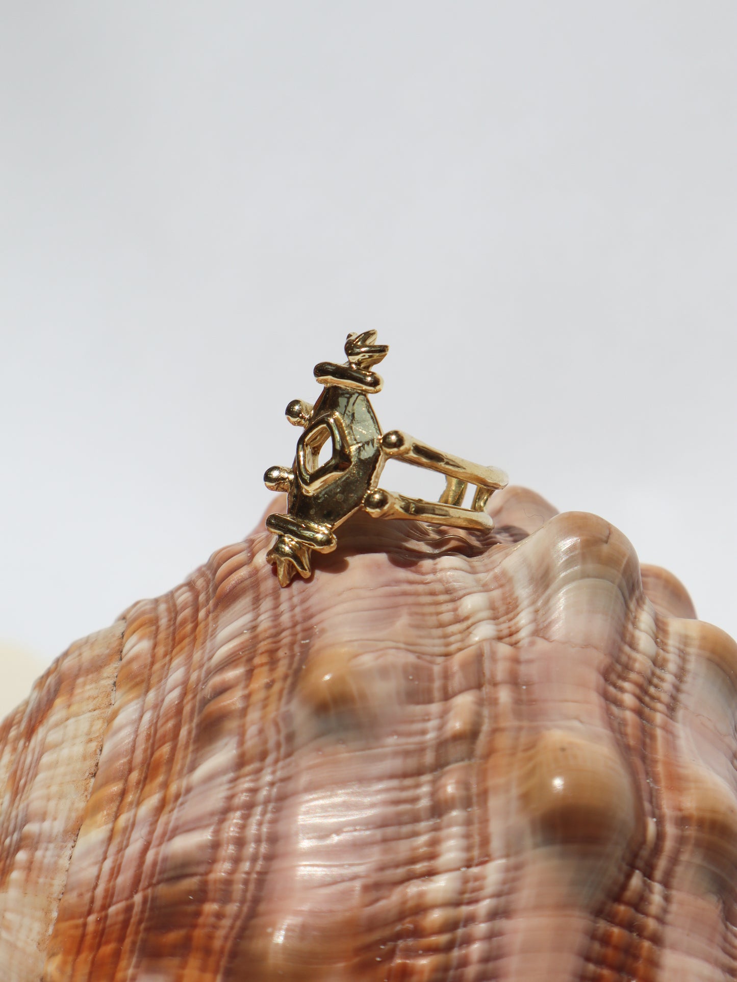 Comosus Ring