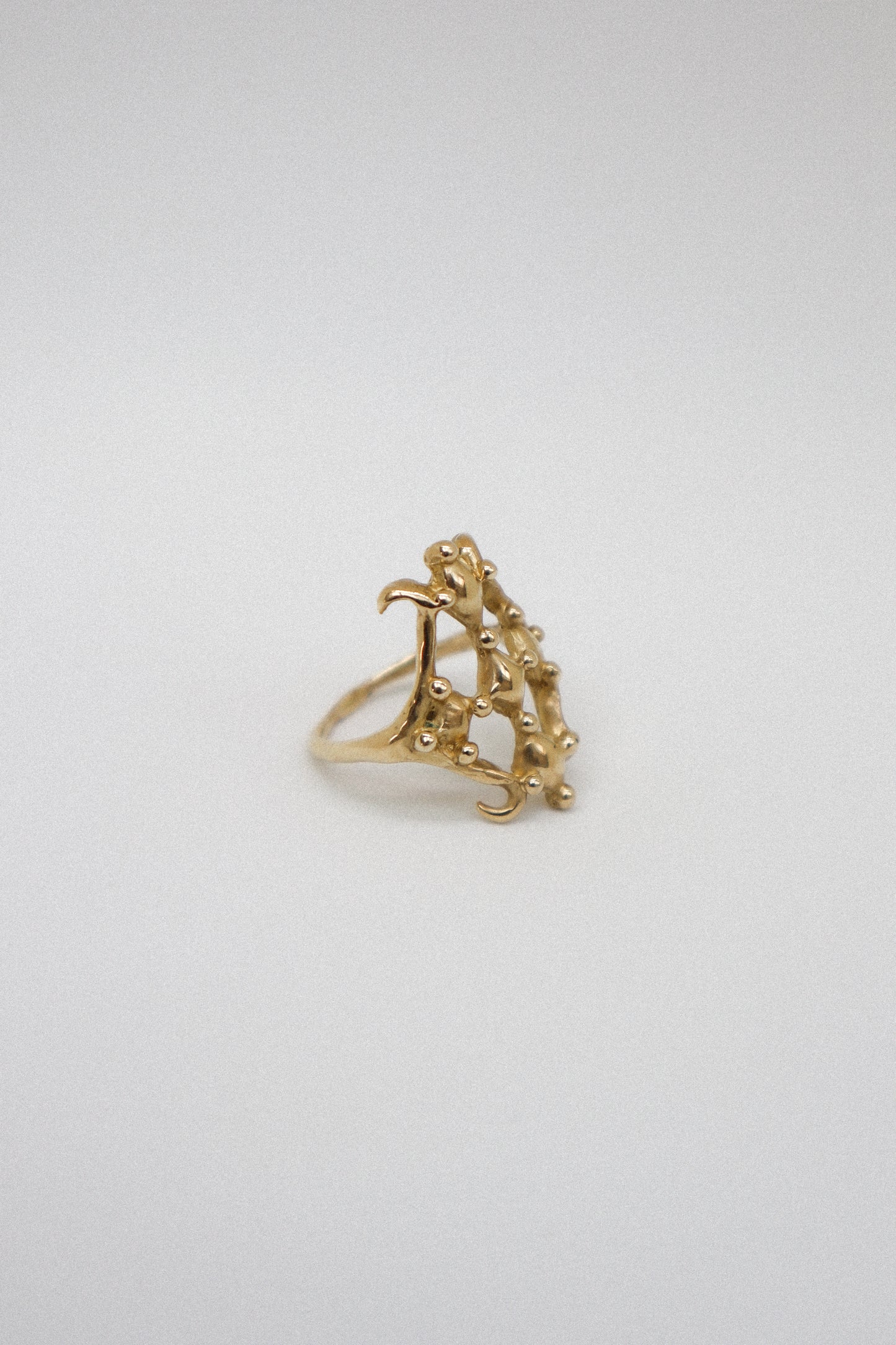 Eryndor Ring