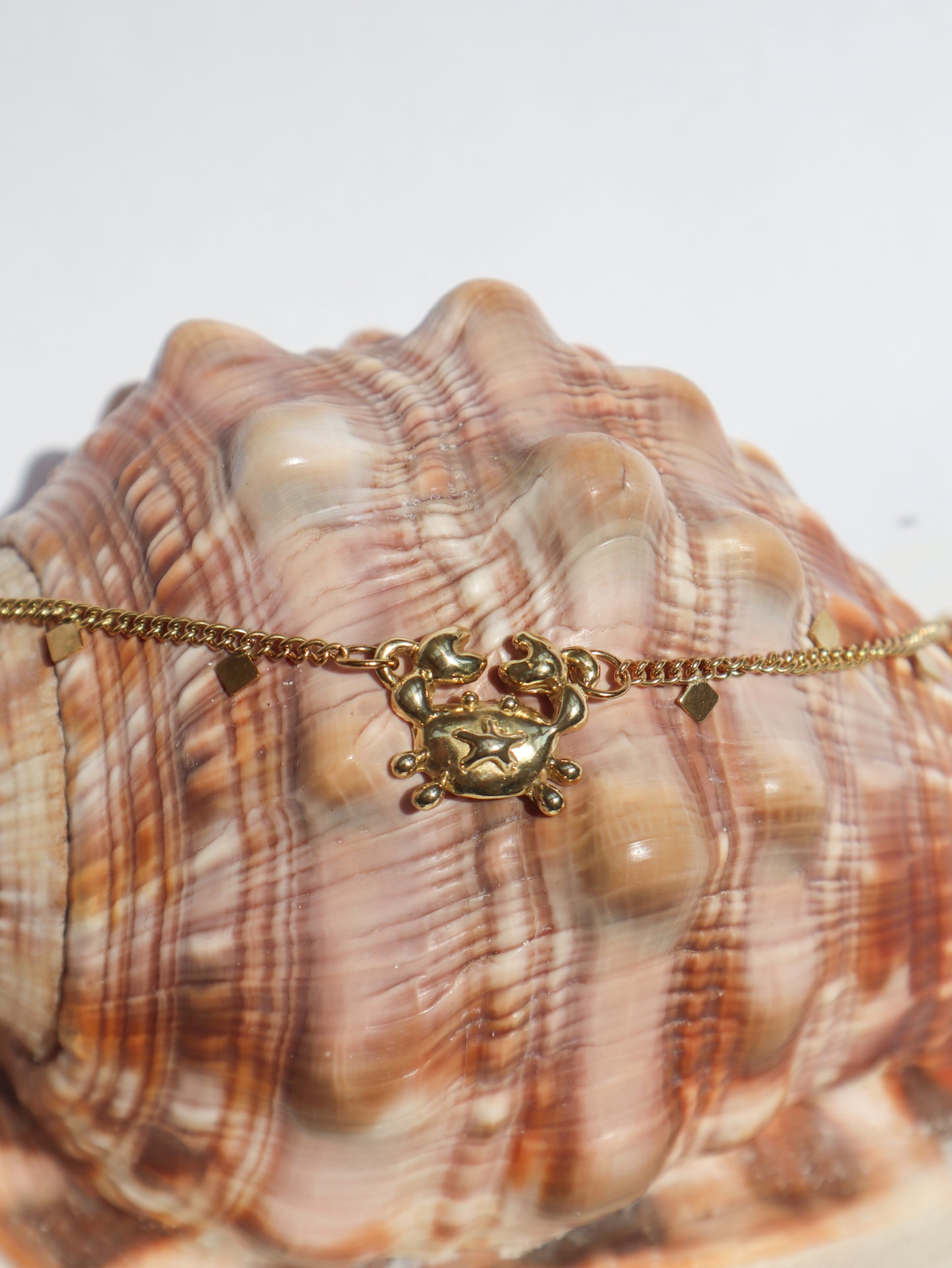 Crabi Necklace