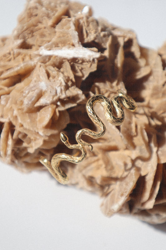 gold snake bracelet on a desert rose